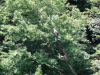 dsc00016